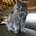 Theodore Finegold - @theodore_doing_tings_ - Instagram