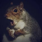 Theodore Ting 陳日糧 - @teodor_ting - Instagram