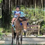 Theodore Titus Descallar Goyal - @theodore_titus - Instagram