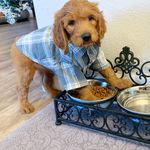 Theodore Maximus - @theodoretothemaximus - Instagram