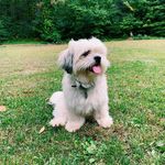 Theodore Toth - @teddys.gram_ - Instagram