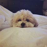 Theodore Tran - @lifeof_theodore - Instagram