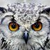 Gregory Theodore Trott - Facebook