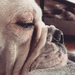 Theodore Wallace - @theodore_wallace - Instagram