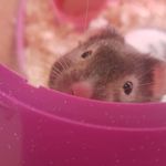 theodore wallace - @theodore_wallace_123 - Instagram