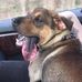 Theodore Walls - Facebook