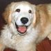 Theodore E. Walsh - Facebook