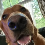 Theodore Walsh - @teh.wah2 - Instagram