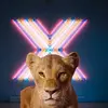 @Theodore_Walton.14 - @theodore_walton.1 - TikTok