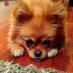 Theodore Watson - @theodore.watson - Instagram