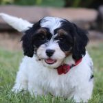 Theodore Watson - @thattheo - Instagram
