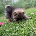 Theodore Watson - @theowatto - Instagram