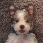 Theodore Weaver - @theodoreweaver18 - Instagram