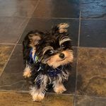Wesley Theodore Kennedy - @wesleytheodorekenn - Instagram