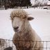Theodore Wheeler - Facebook