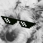 Theodore Wheeler (Teddy) - @tedted_teddy55 - Instagram
