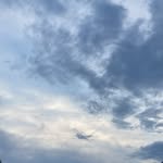 Theodore Wilcox - @theotist21 - Instagram