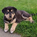 Theodore Woods - @theo.the.teddy - Instagram