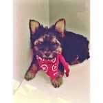 The York Theodore - @iamyorktheodore - Instagram