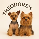 Theodores_yorkies - @theodores_yorkies - Instagram