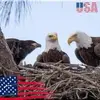 Theresa Ackerly - @theresa.ackerly - TikTok