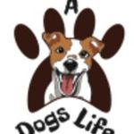 Theresa Ayers - @adogslife_us - Instagram