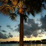 Theresa Moore Bourque - @tbourque32 - Instagram