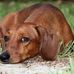 Theresa Cotter - Facebook