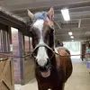 theresadowns3 - @theresadowns3 - TikTok
