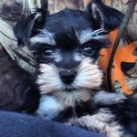 Theresa McCartney Cain - @theresa.cain.54 - Instagram