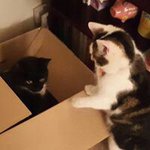 Theresa Ann Plummer - @rp4tap1983 - Instagram