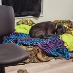 Theresa Lorentz - @theresaplummer - Instagram
