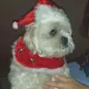 Teresa Sinclair - @teresa.sinclair - TikTok