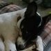 Theresa Stanton - Facebook
