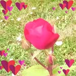 Marie Therese Albert - @marietheresealbert99 - Instagram