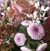 Marie Therese Allard - Facebook
