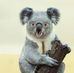 Therese Allard - Facebook