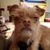 Therese Baker - Facebook