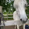 HejJejjdjdjjdjdjd - @theresethebest - TikTok