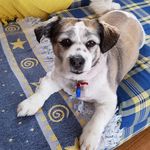 Therese Best - @thripbest - Instagram
