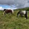 Therese_Wilma_best - @therese_wilma_best - TikTok