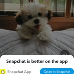 Therese Boyle - @totaratoys - Instagram
