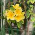 Therese Bruno - Facebook