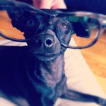 Therese Bruno Cavallaro - @thebrunocavallaro - Instagram