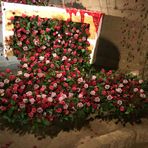 Marie Therese Champion - Facebook