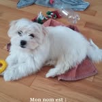 Therese Cote - @therese.cote.501 - Instagram