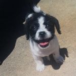 Therese Curtis - @batmomc - Instagram