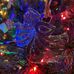 Therese Davis - Facebook