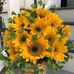 Theresa Greaves - Facebook