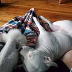 Therese Diane-moore Gutierrez - @theresegutierrez57 - Instagram